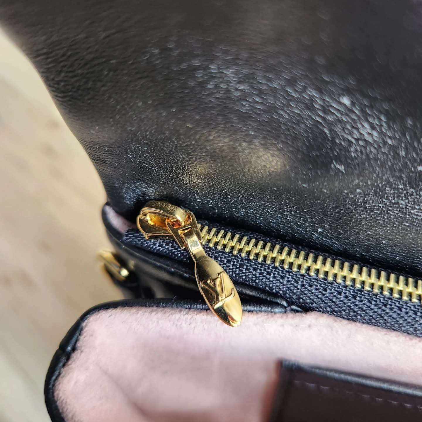 Louis Vuitton Coussin