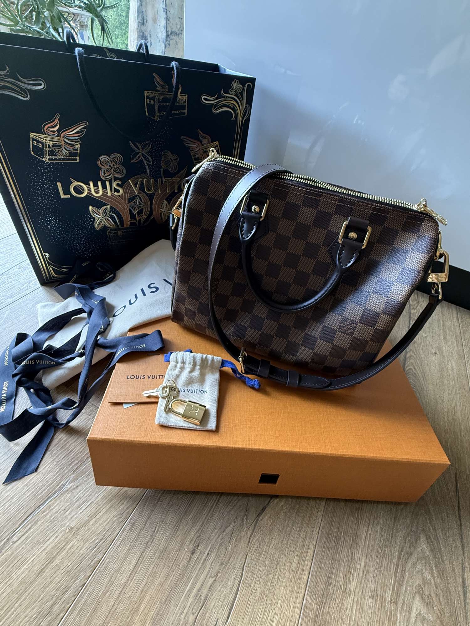 Louis Vuitton speedy 25 ebene