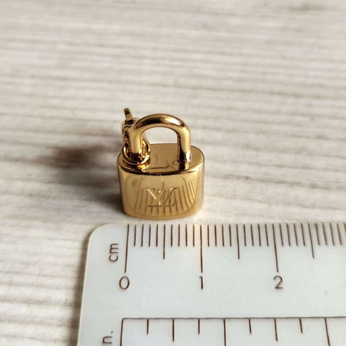 Louis Vuitton Charm