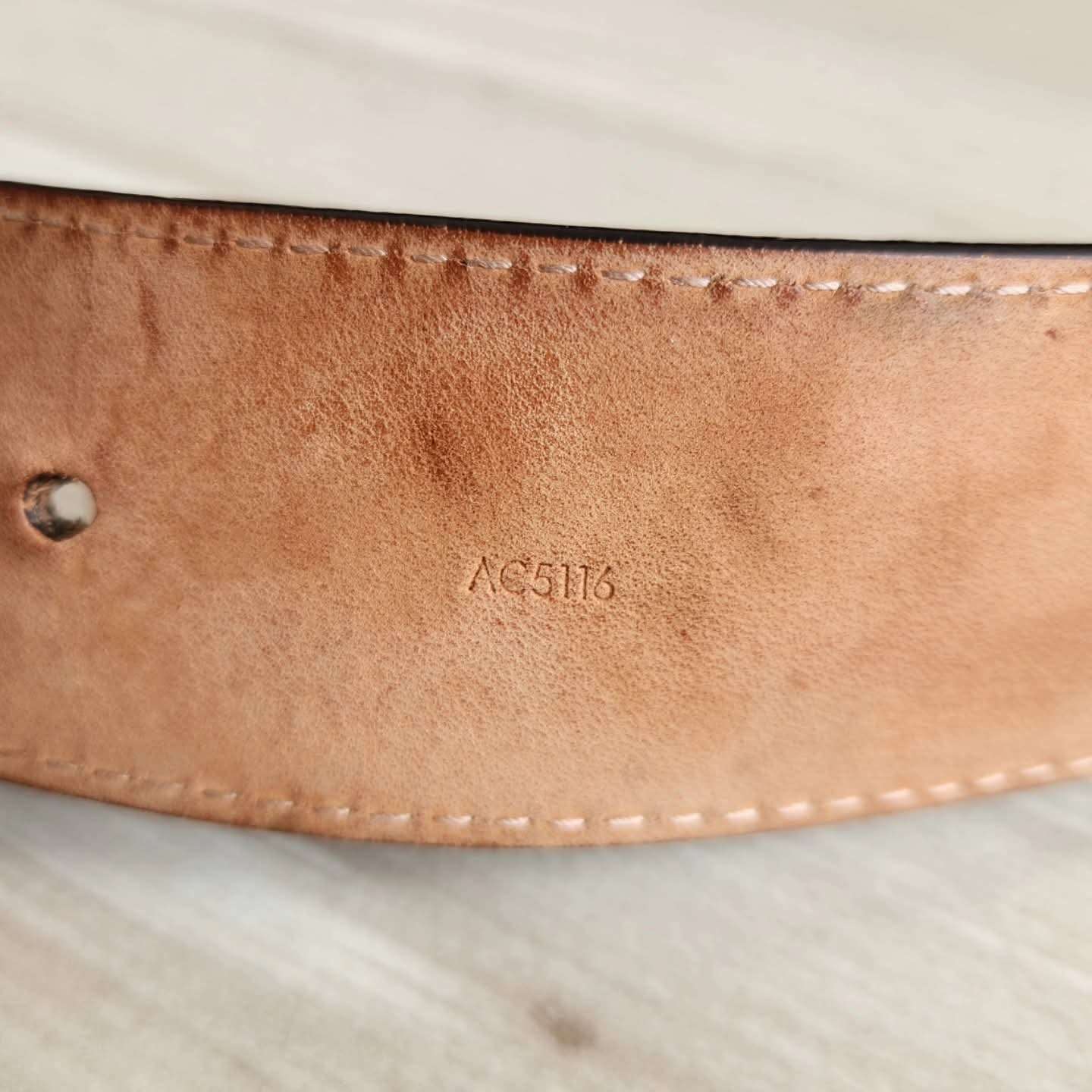 Louis Vuitton Pasek