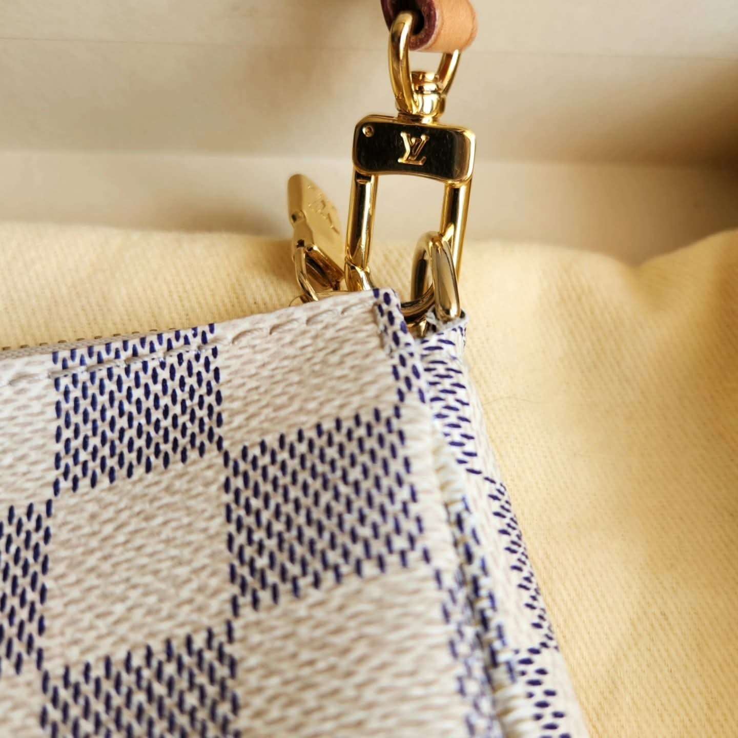 Louis Vuitton Pochette Accessoires