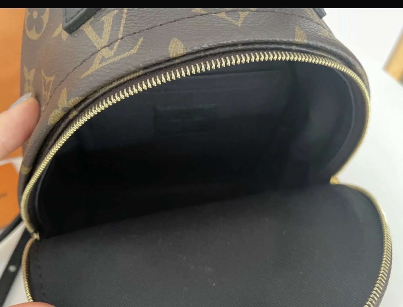 Louis Vuitton Palm spring mini