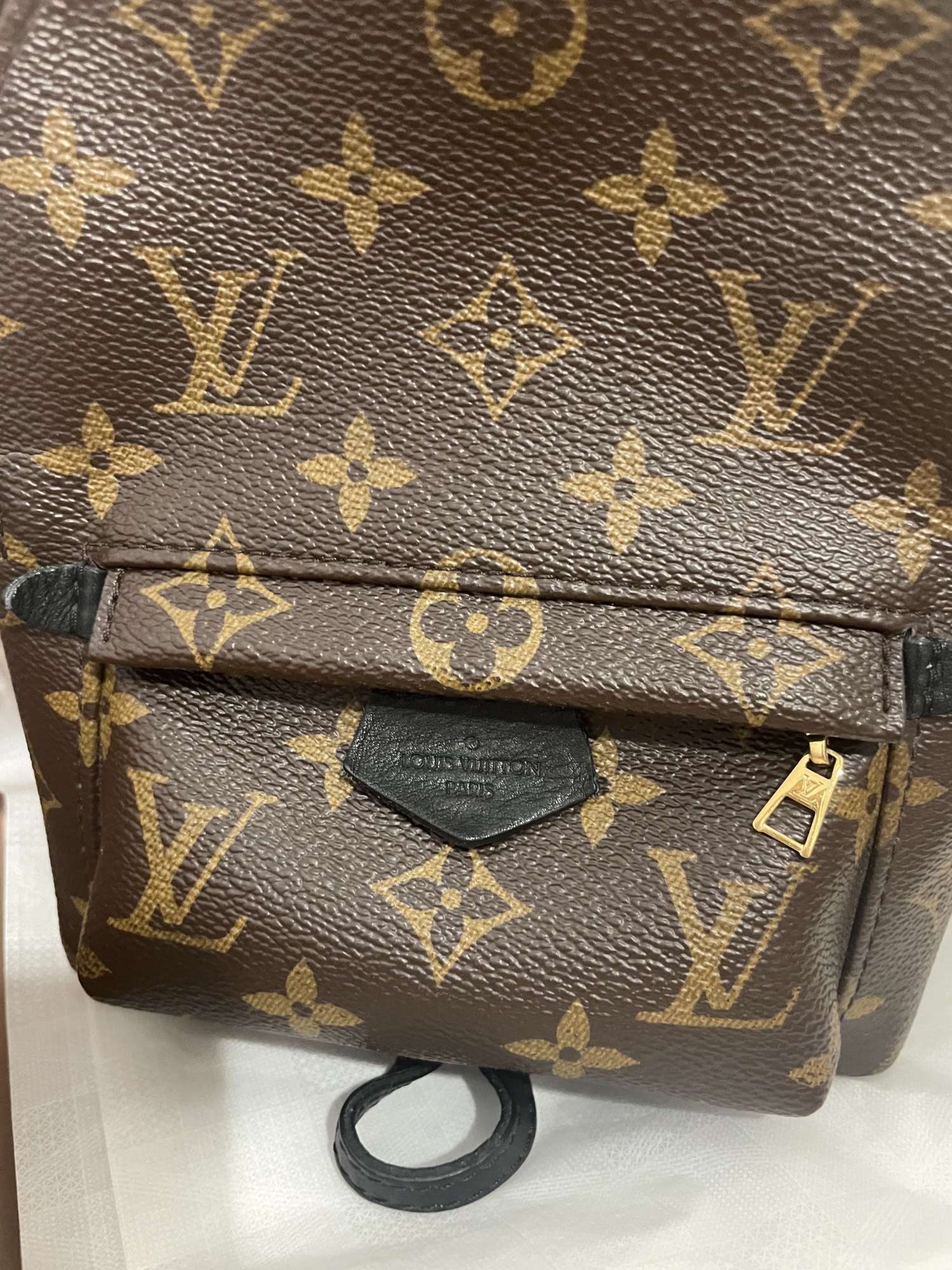 Louis Vuitton palm springs mini