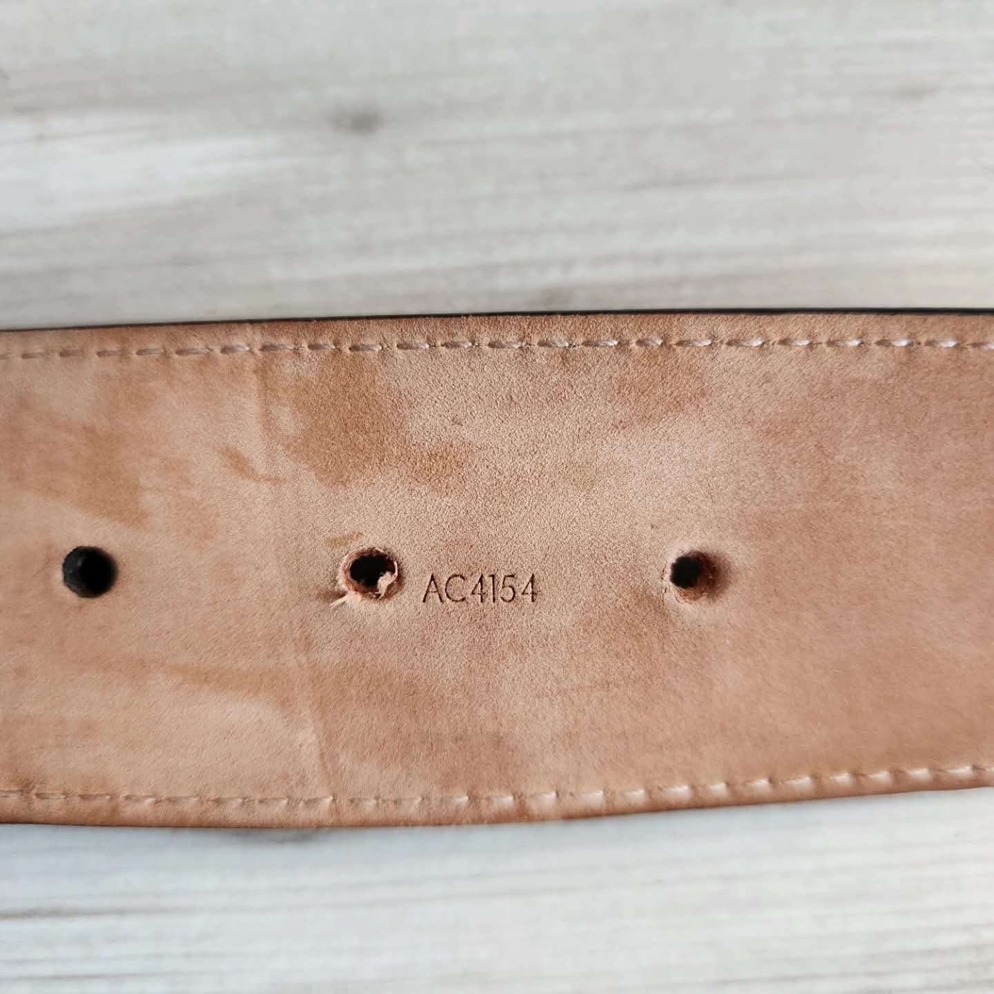 Louis Vuitton Pasek Iconic