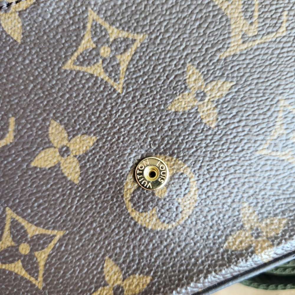 Louis Vuitton Felicie Strap and Go