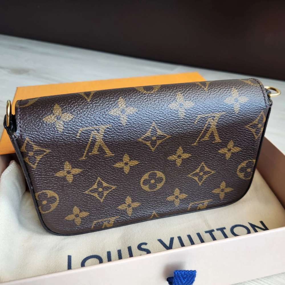 Louis Vuitton Felicie Strap and Go