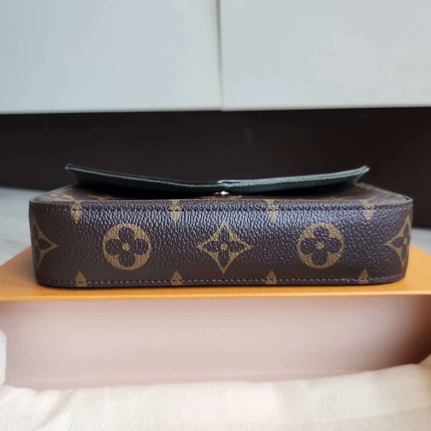 Louis Vuitton Felicie Strap and Go