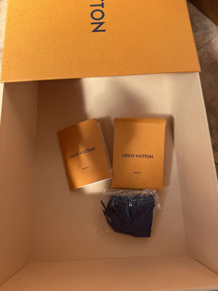 Louis Vuitton CONCORDE Sneakers