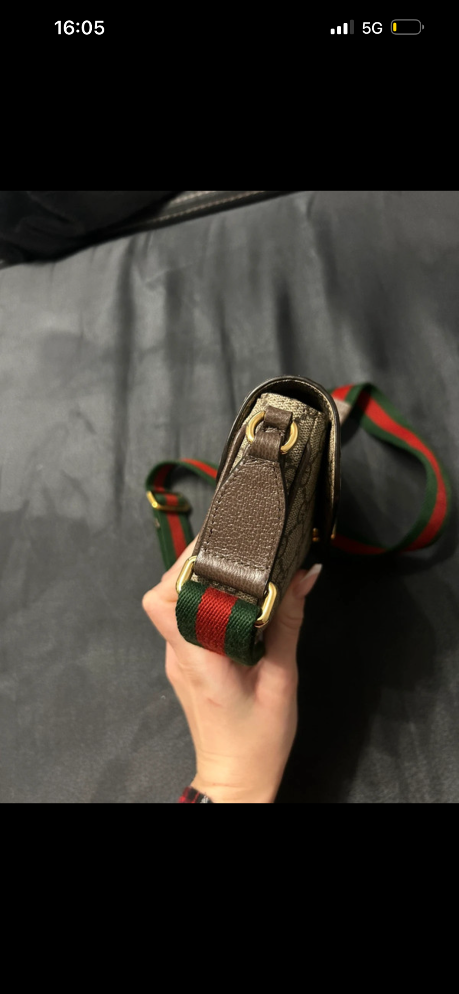 Ophidia pochette
