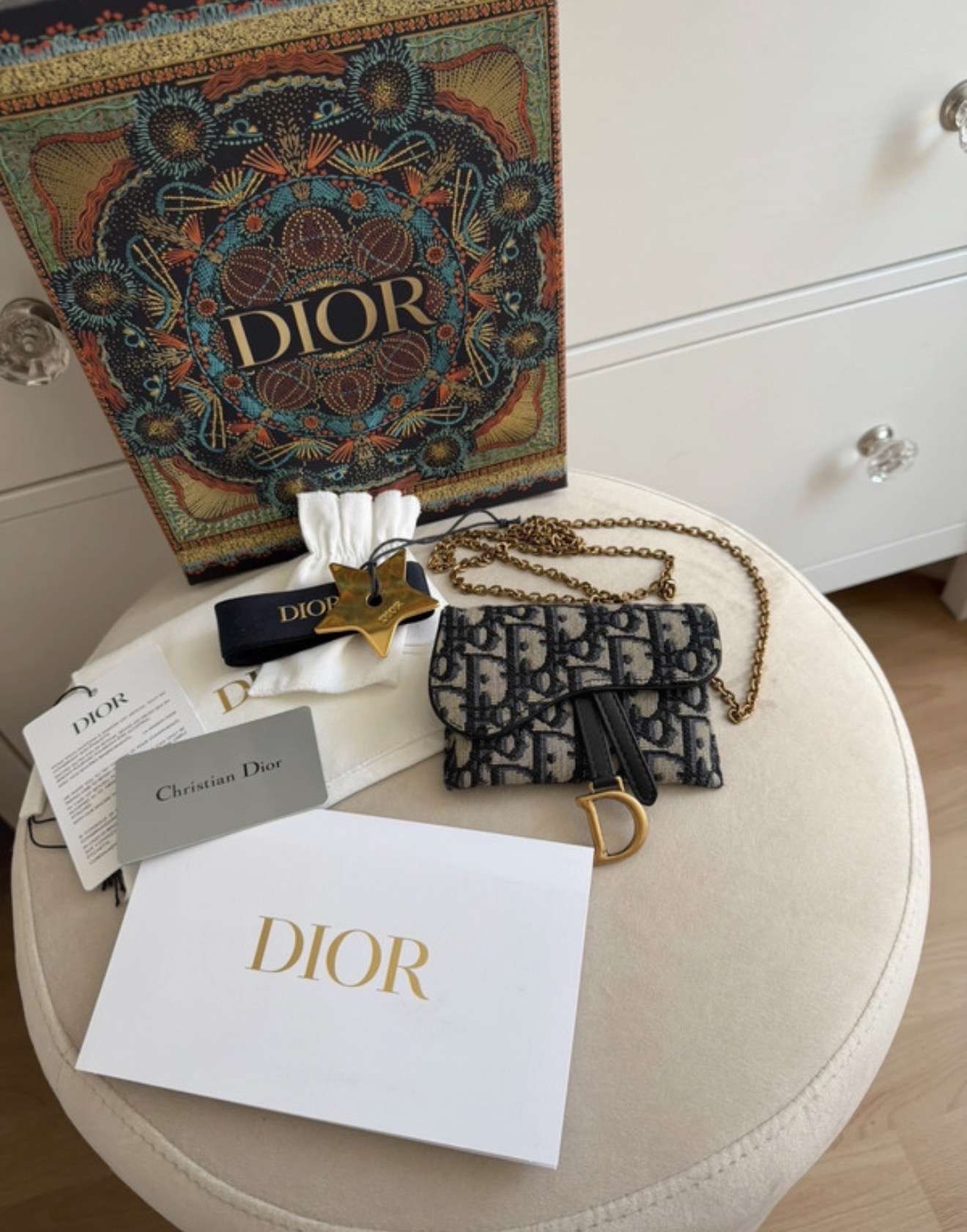 Dior mincovnik clutch