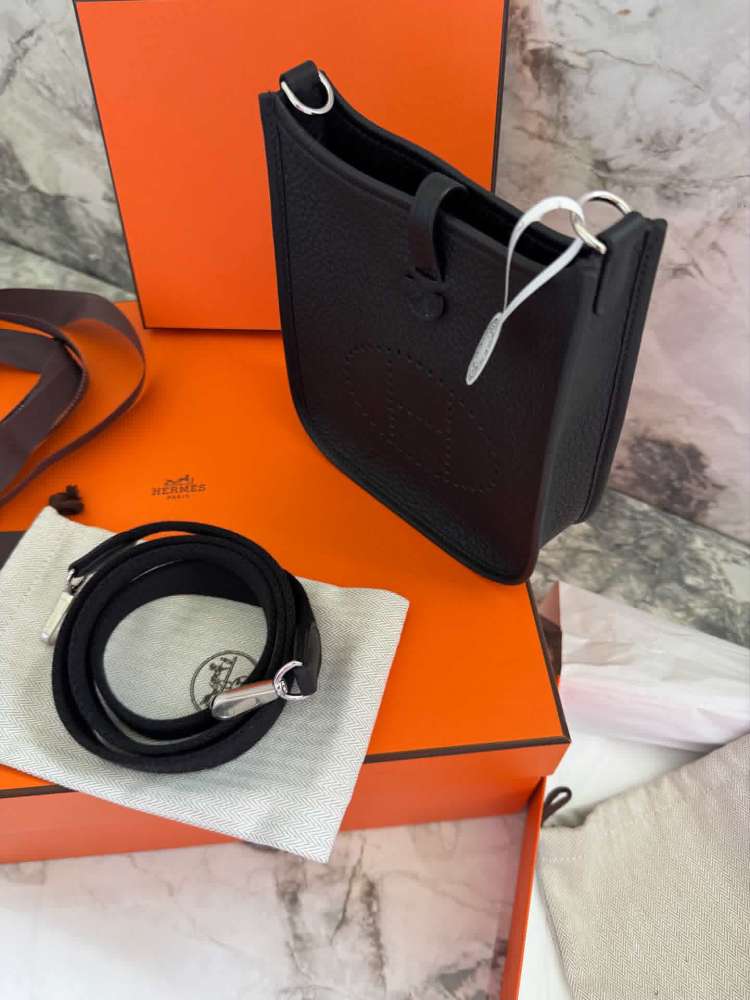 Hermes mini evelyne