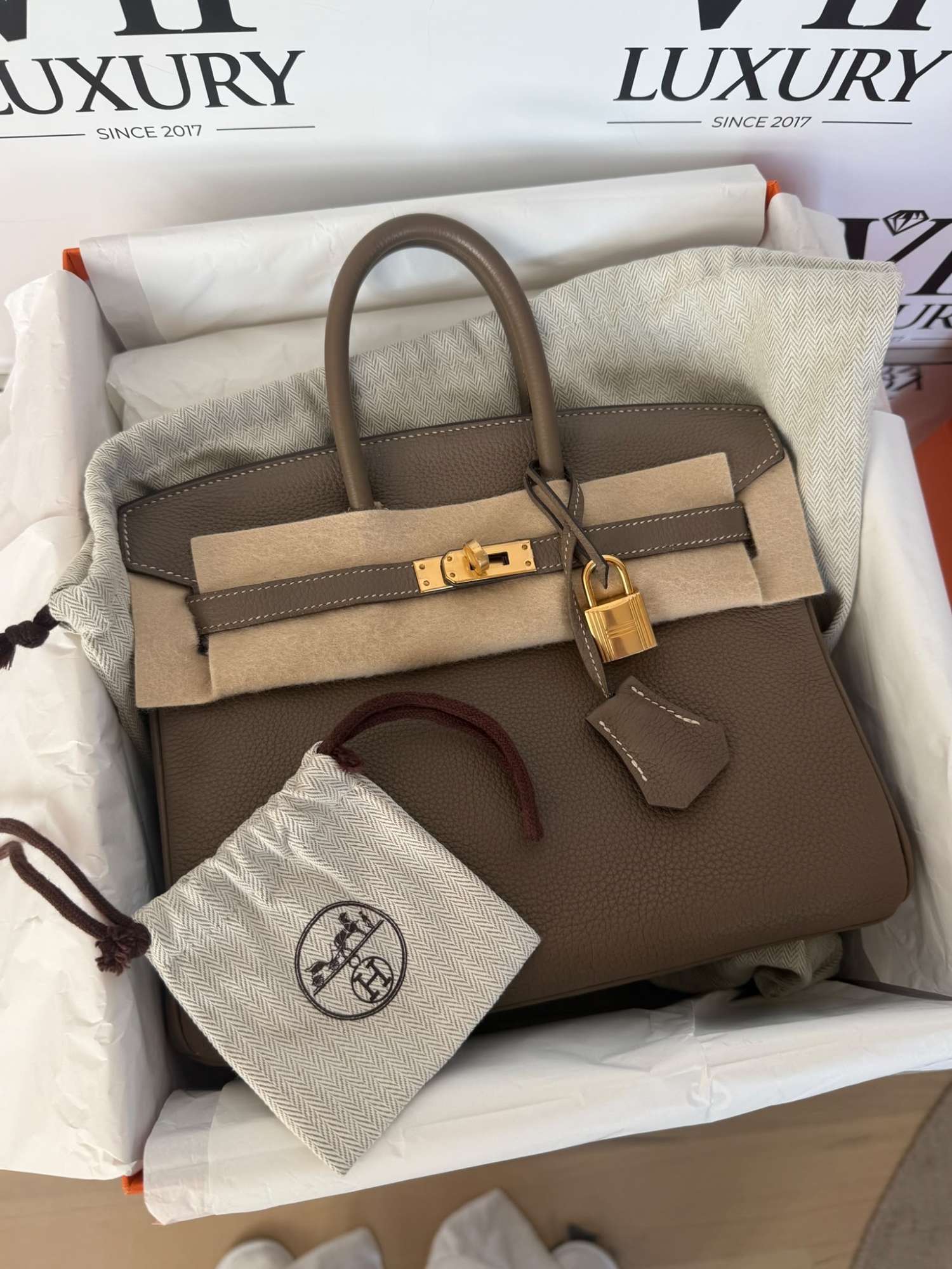 HERMÈS BIRKIN 25 ETOUPE