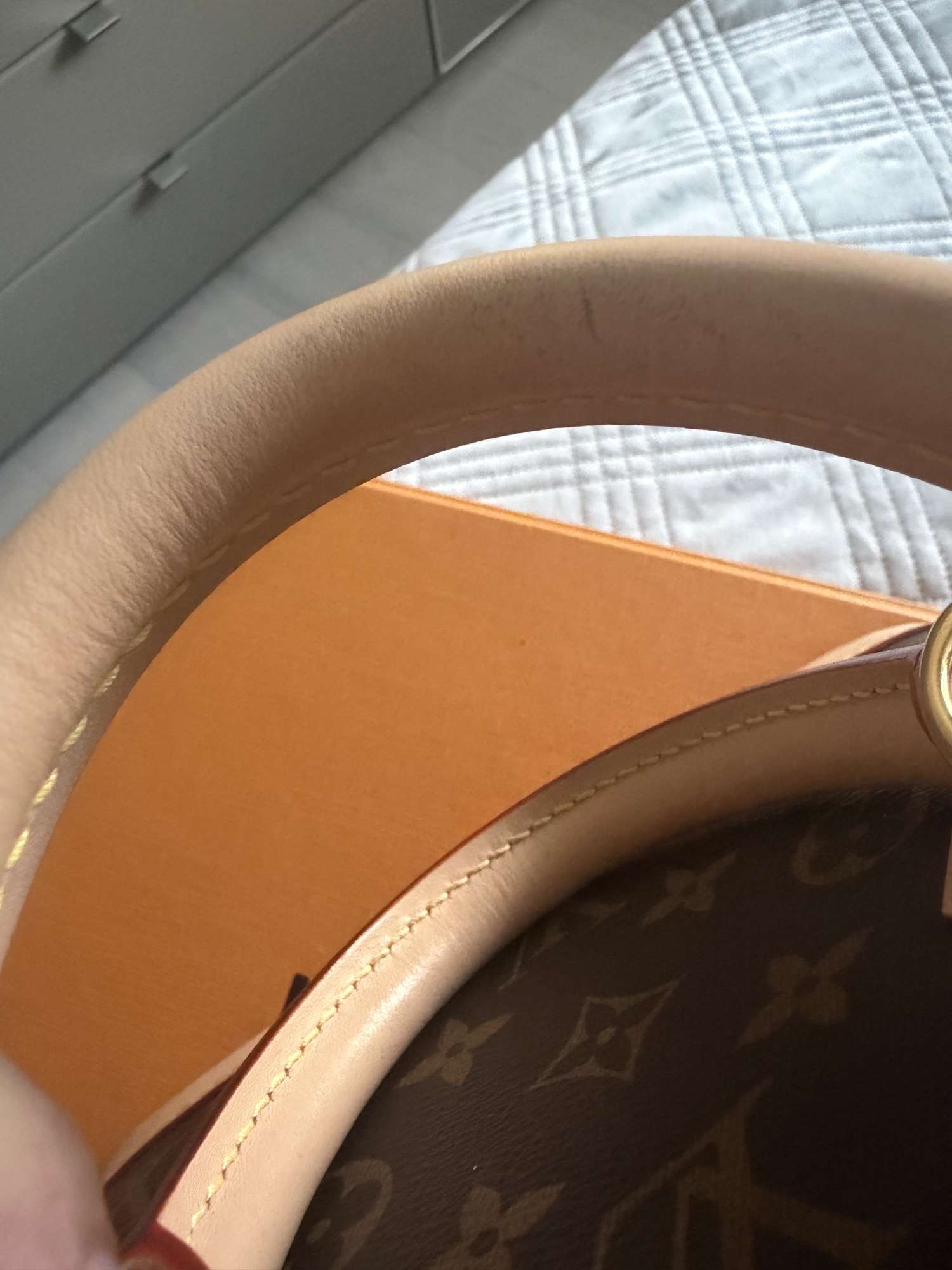 Louis Vuitton Alma BB — Monogram Canvas 🤍