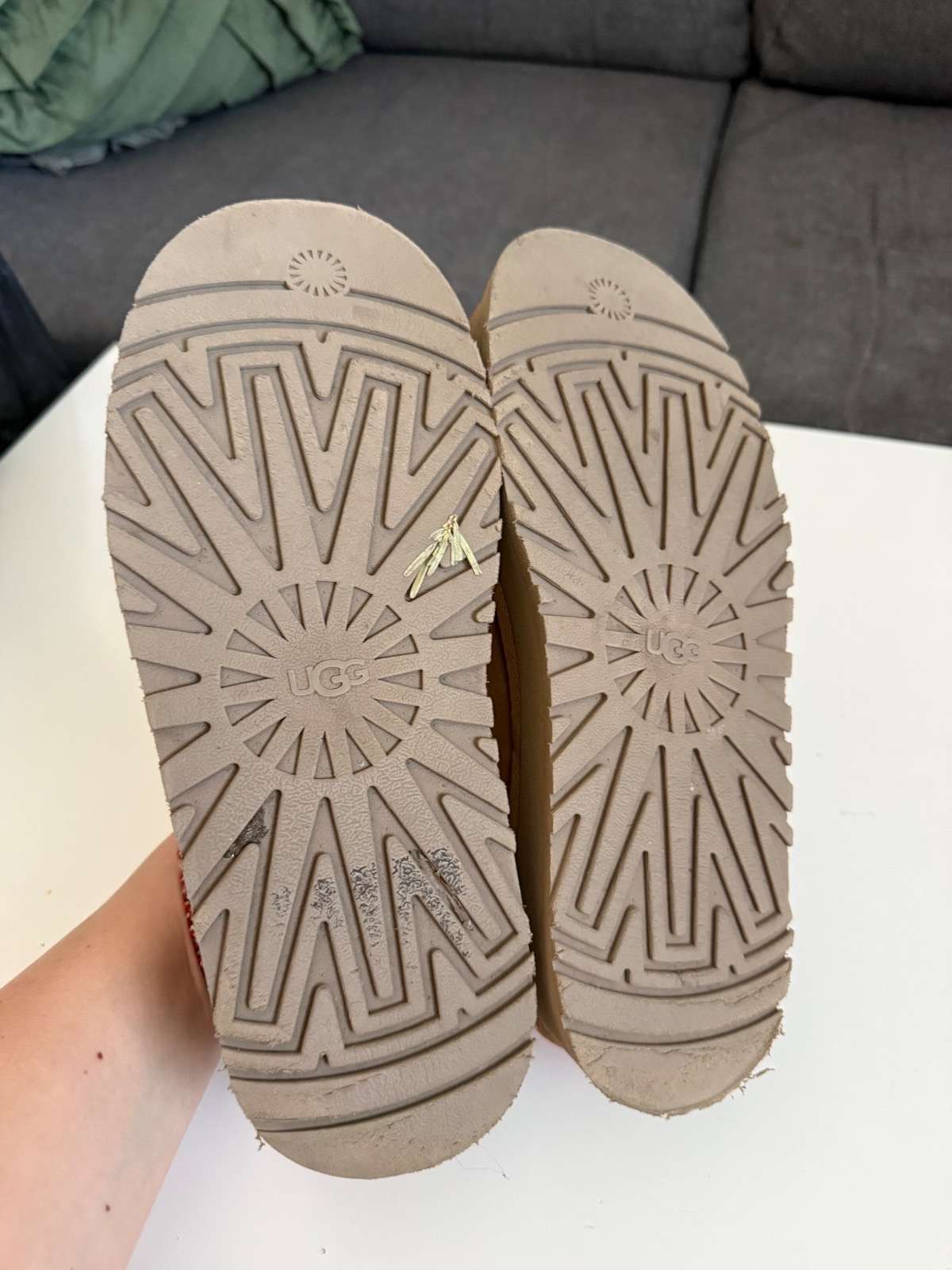 Ugg tazz 39