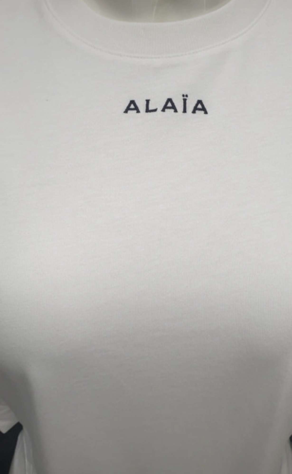 Alaia body