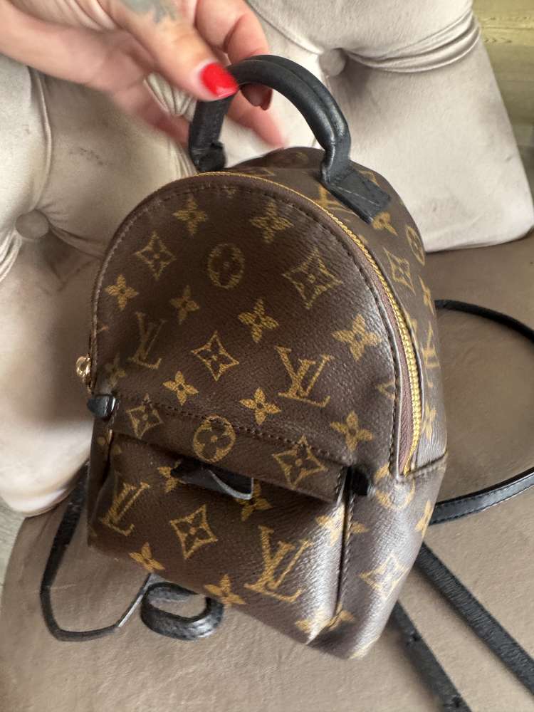 Louis Vuitton Palmsprings mini