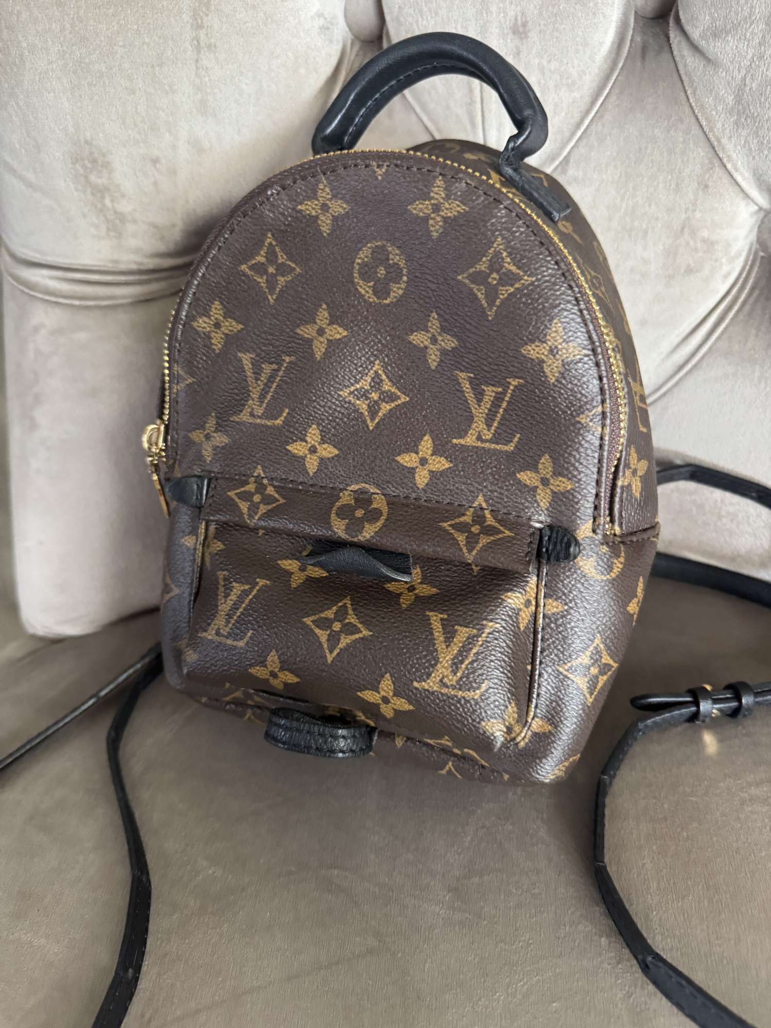 Louis Vuitton Palmsprings mini