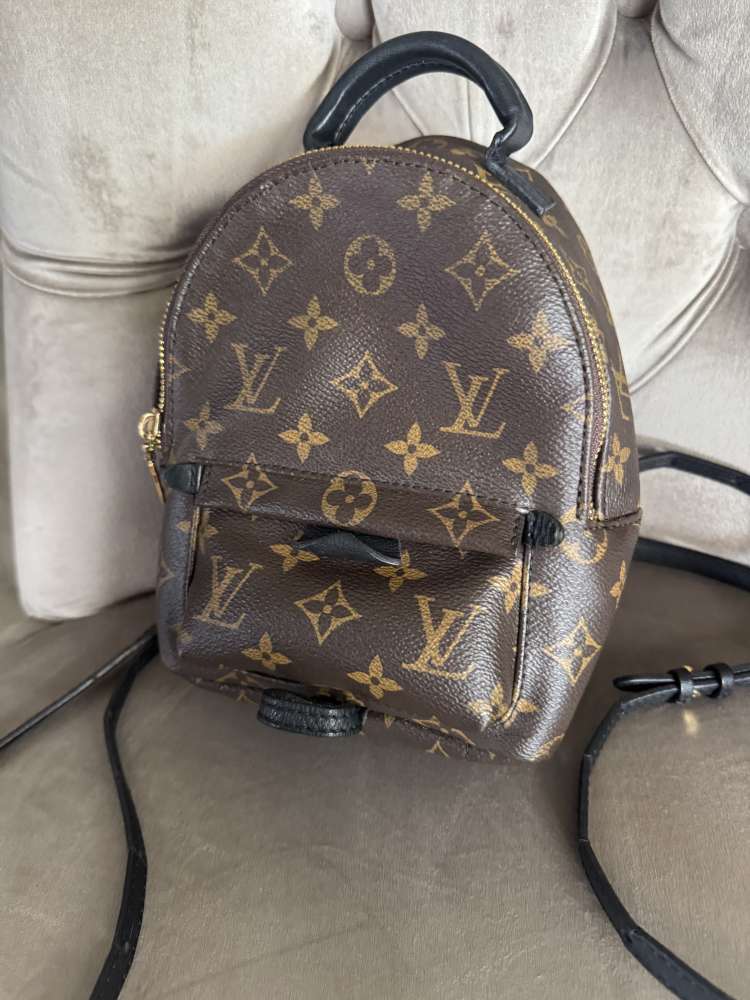 Louis Vuitton Palmsprings mini