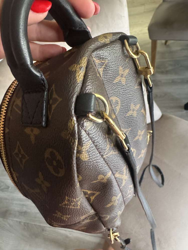 Louis Vuitton Palmsprings mini