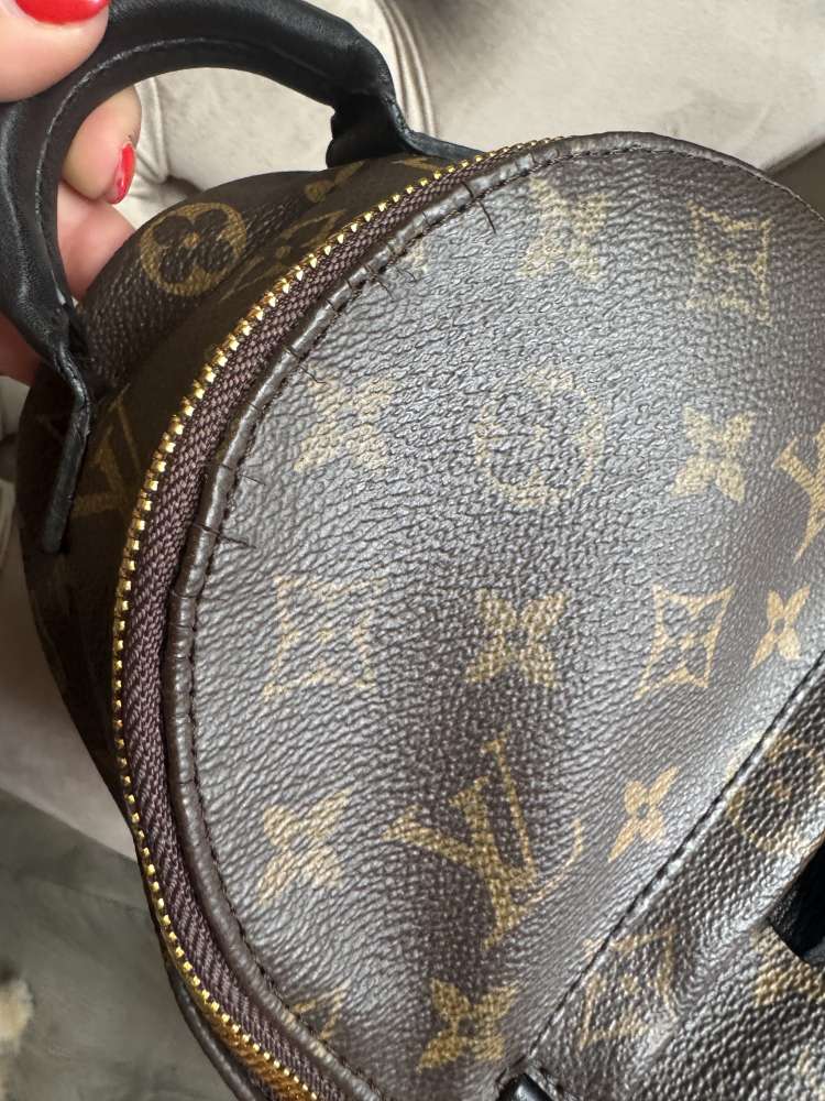 Louis Vuitton Palmsprings mini