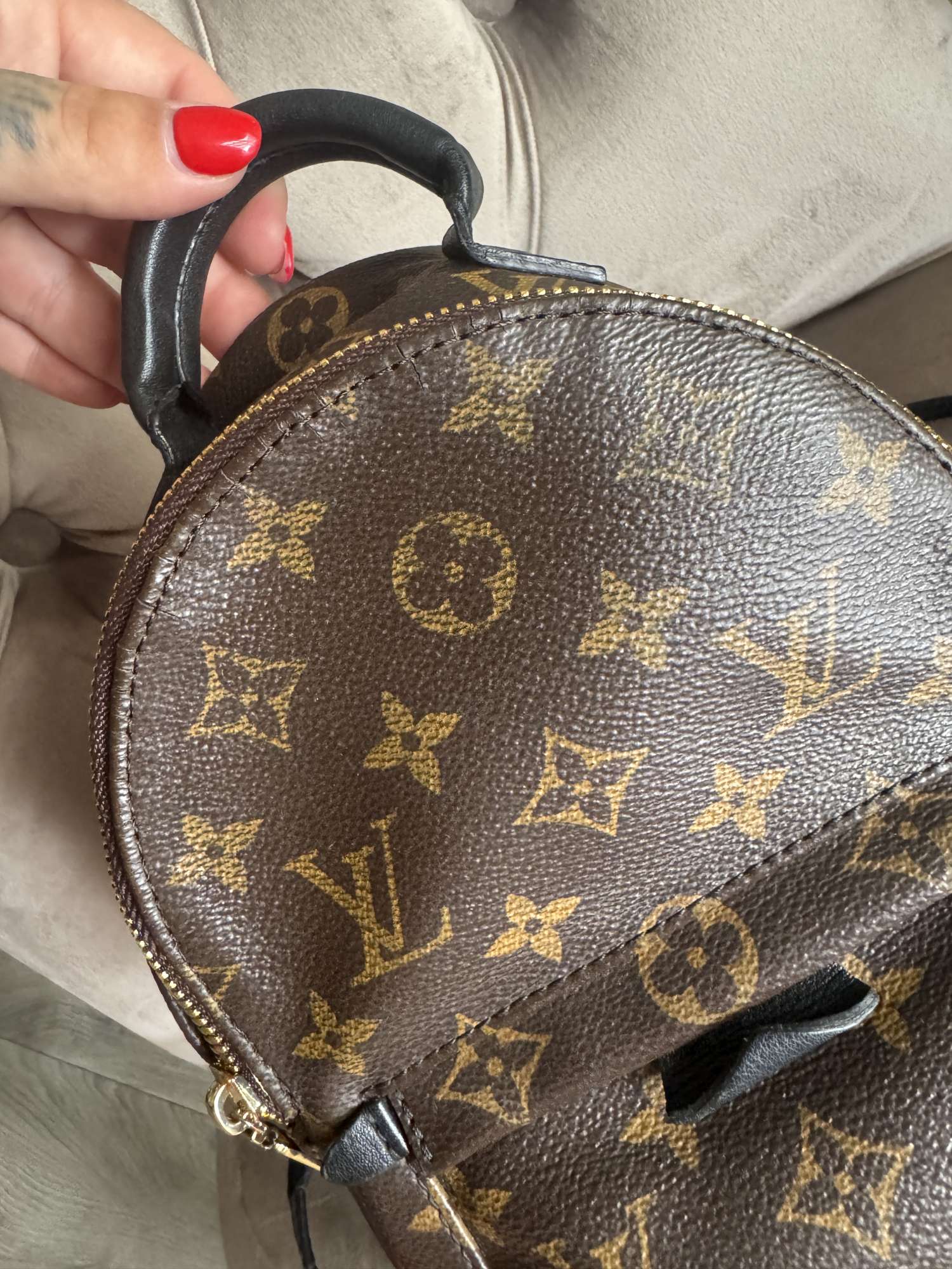 Louis Vuitton Palmsprings mini