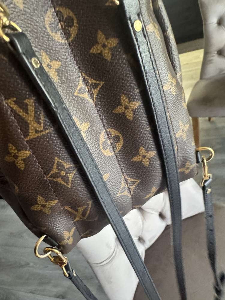 Louis Vuitton Palmsprings mini