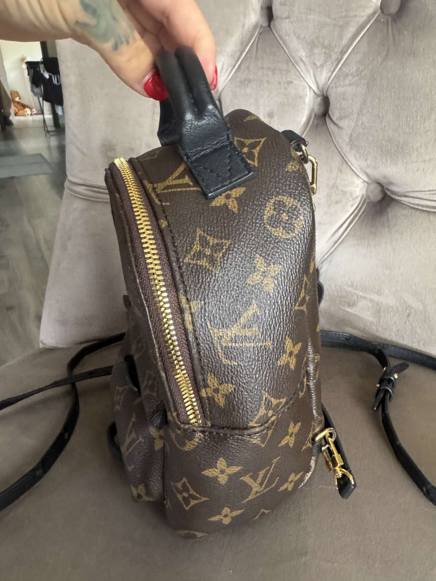 Louis Vuitton Palmsprings mini