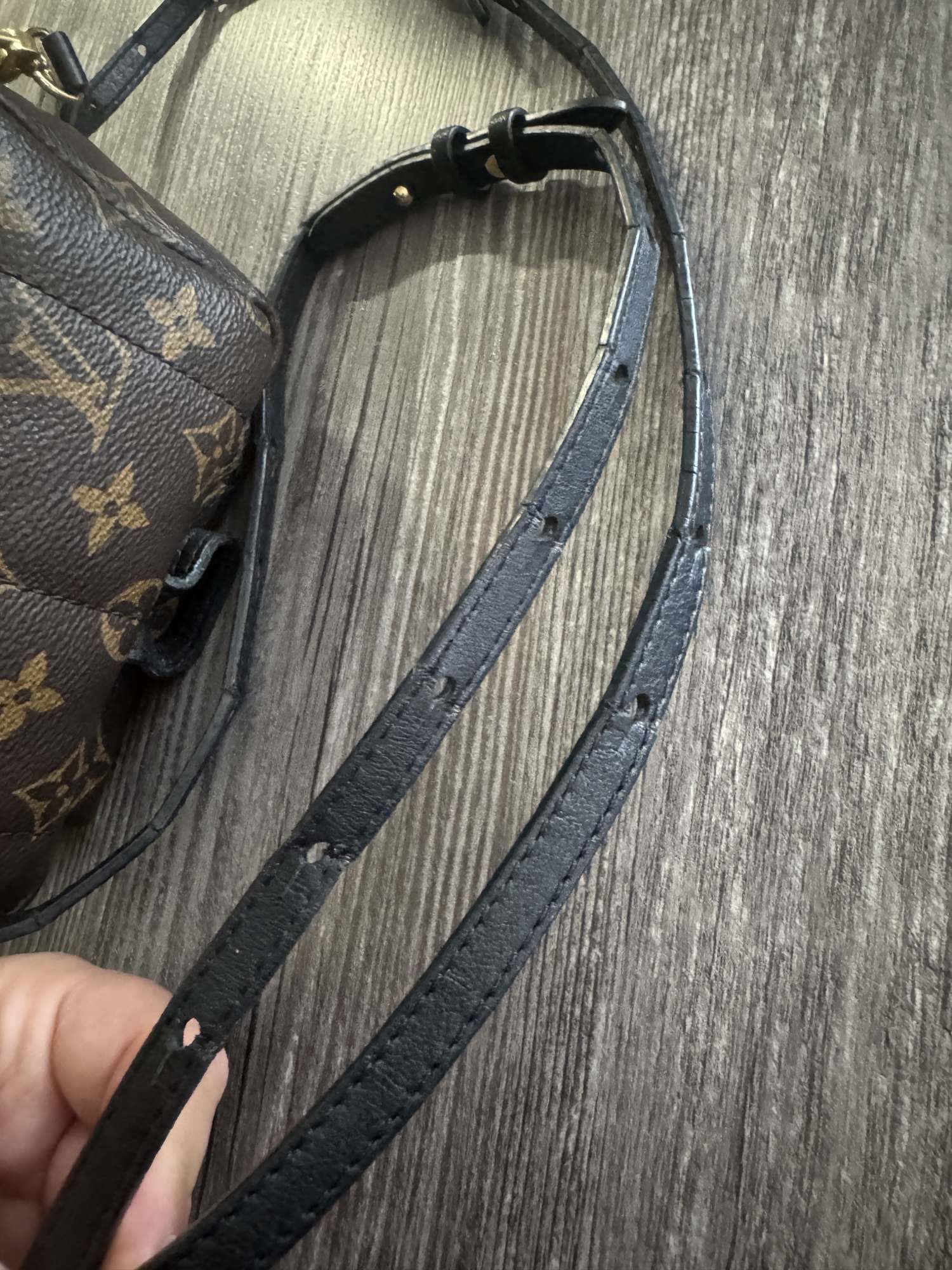 Louis Vuitton Palmsprings mini