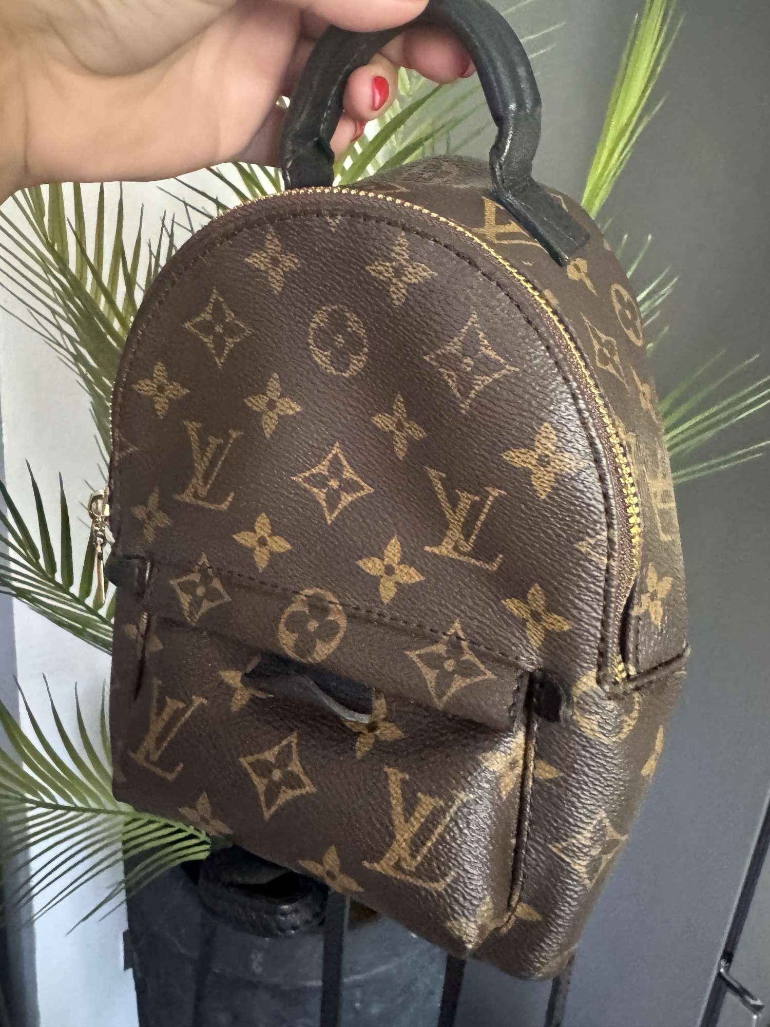 Louis Vuitton Palmsprings mini