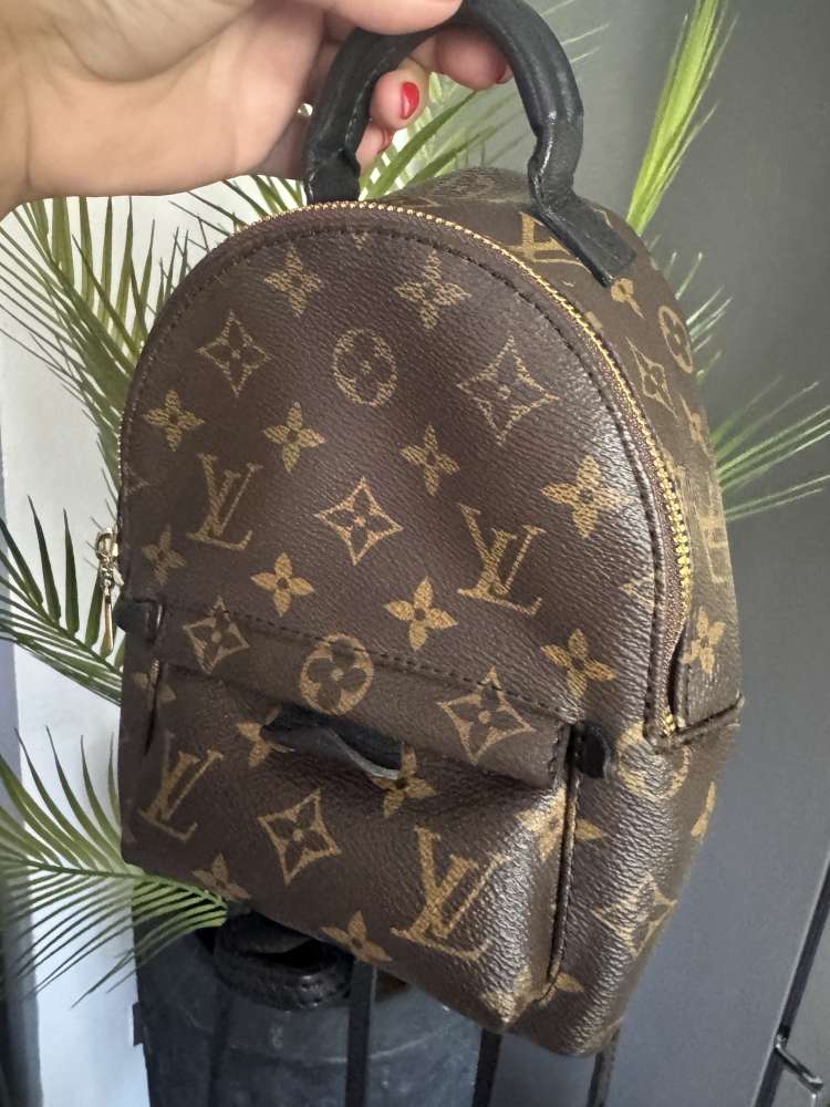 Louis Vuitton Palmsprings mini