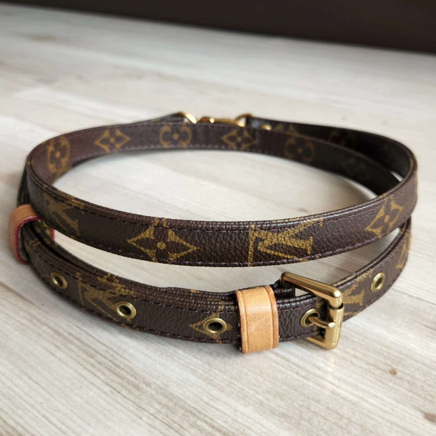 Louis Vuitton Popruh