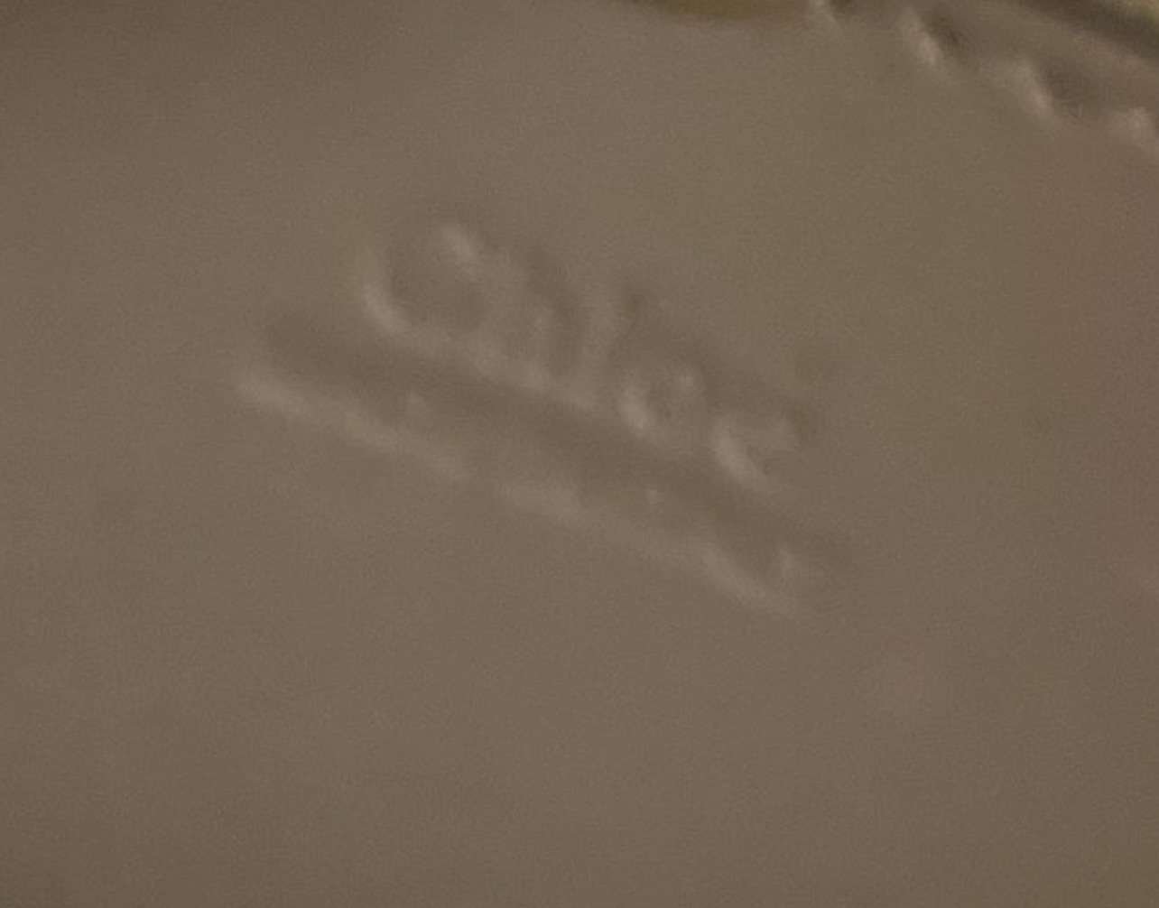 Chloe Tess