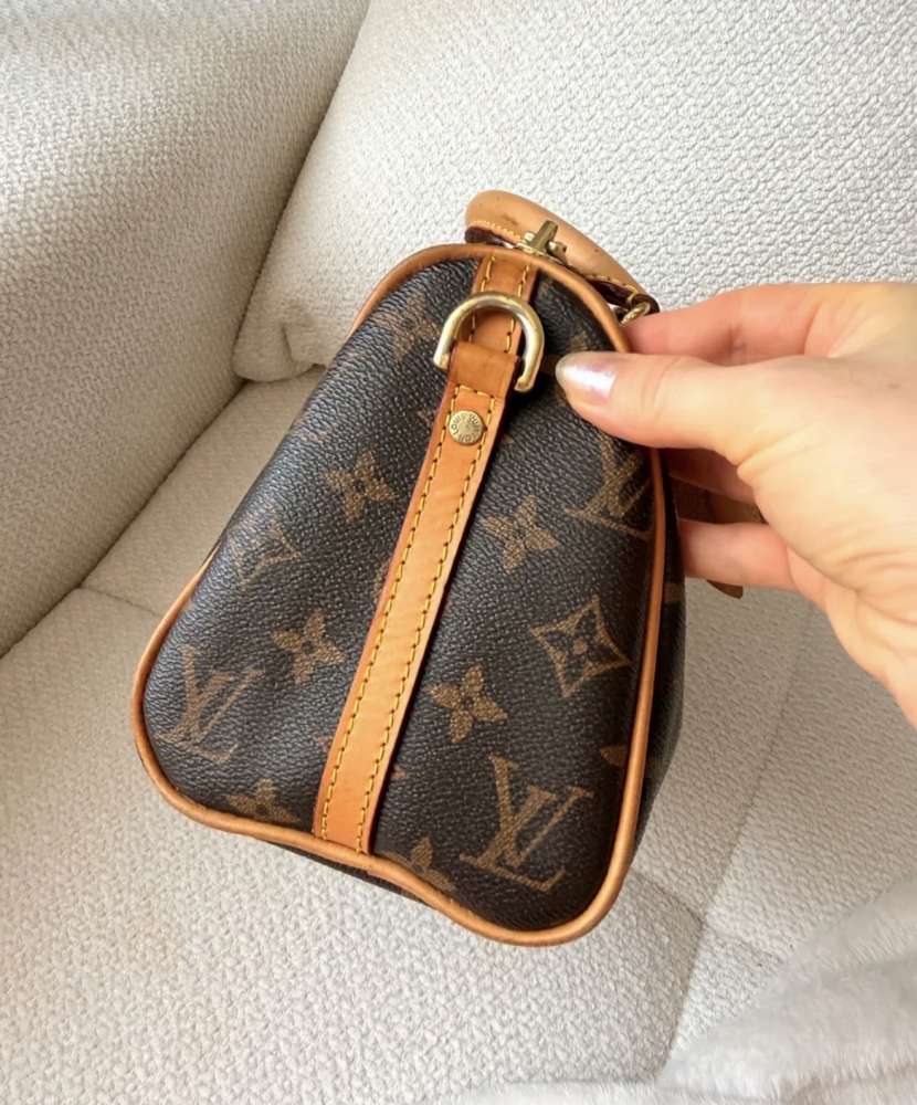 Louis Vuitton Speedy 20