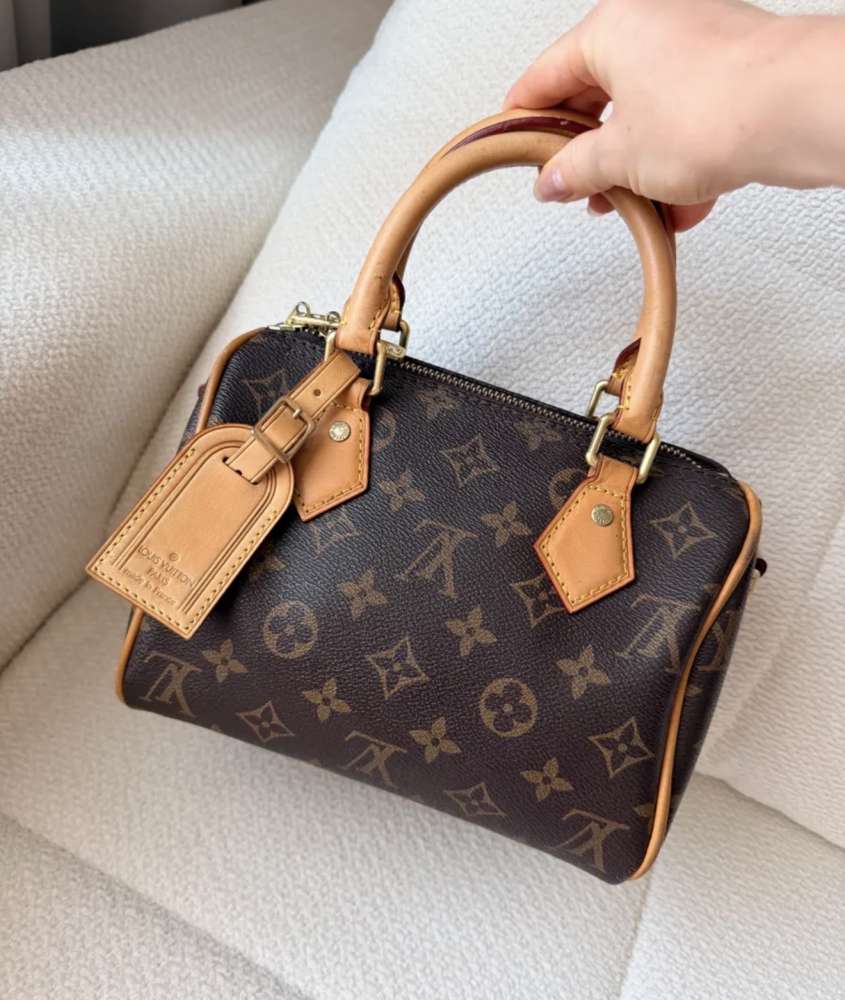 Louis Vuitton Speedy 20