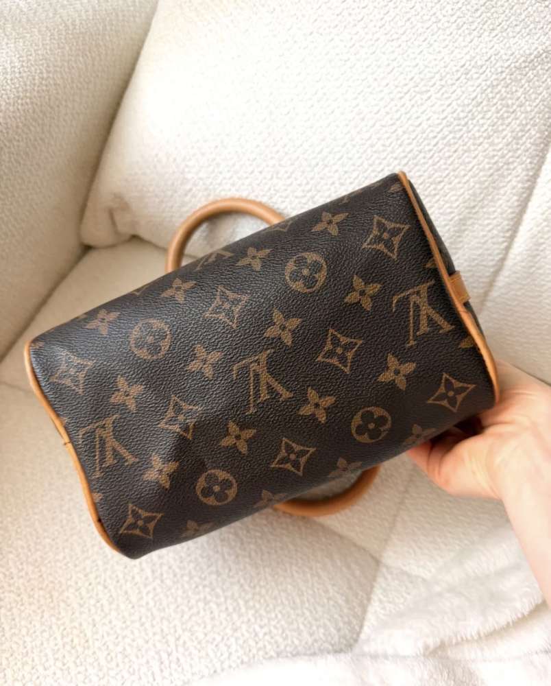 Louis Vuitton Speedy 20