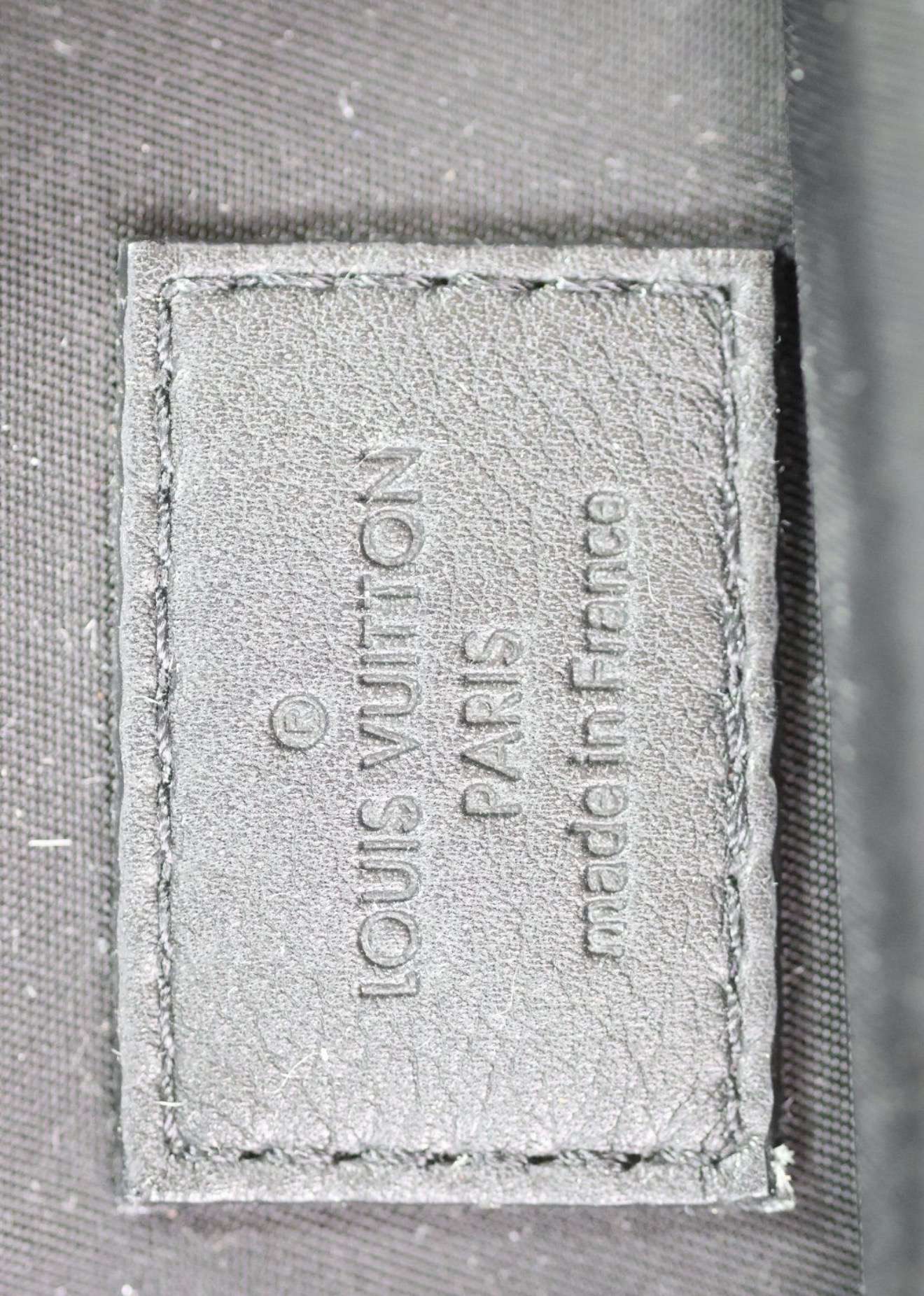Louis Vuitton Palm Spring mini