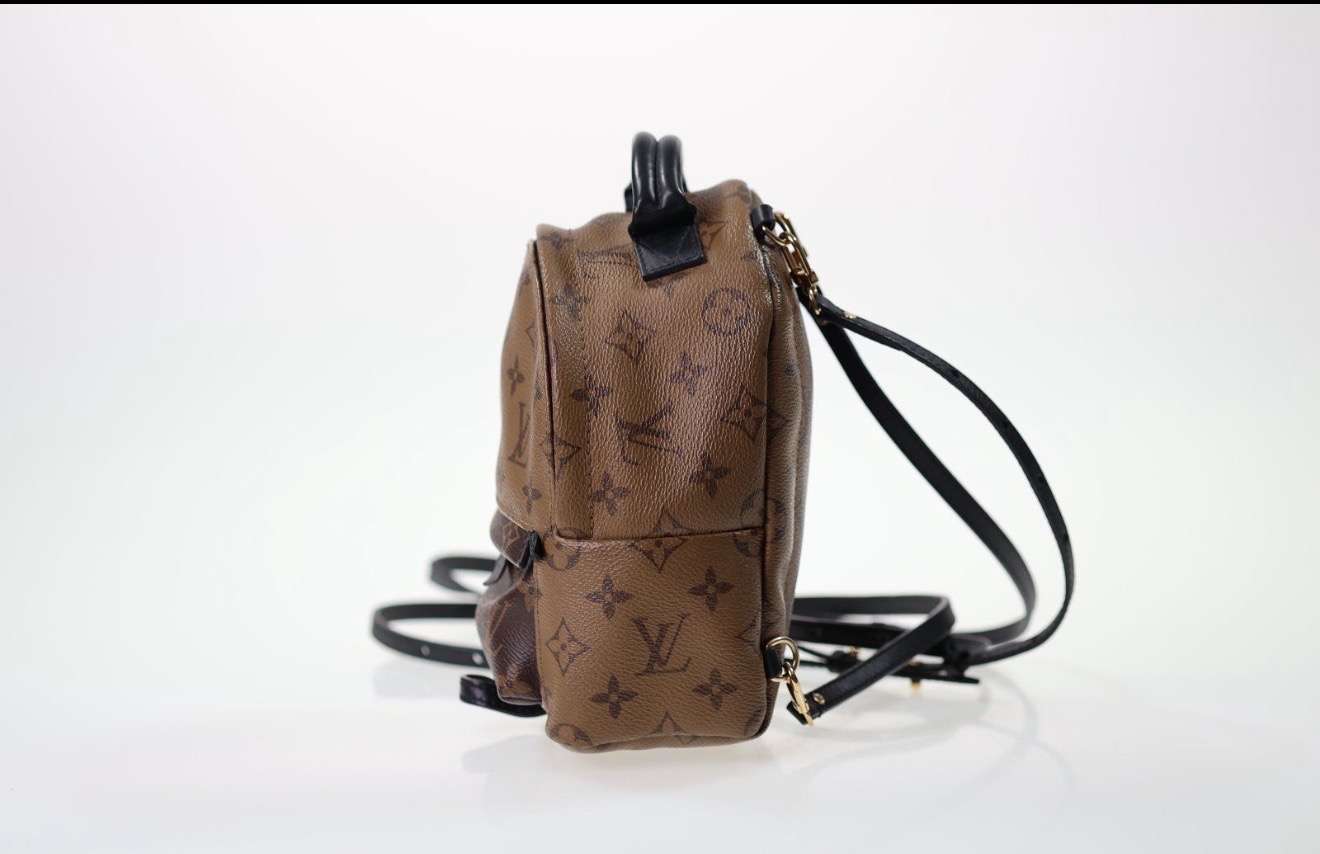 Louis Vuitton Palm Spring mini