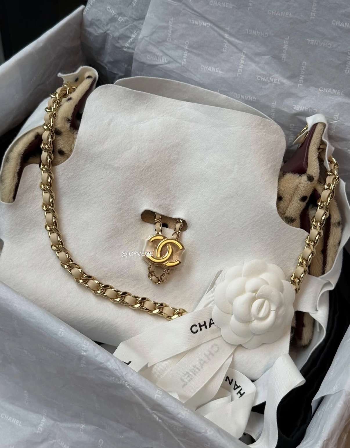 Chanel 25 mini