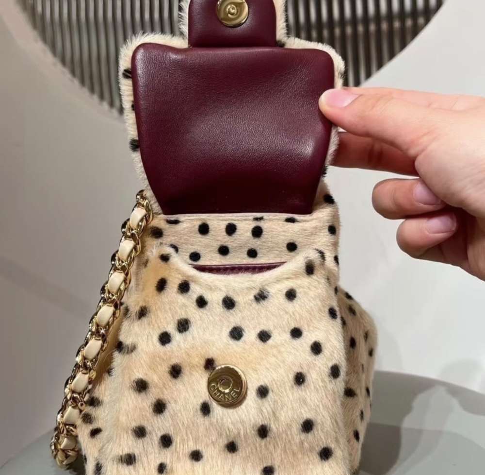 Chanel 25 mini