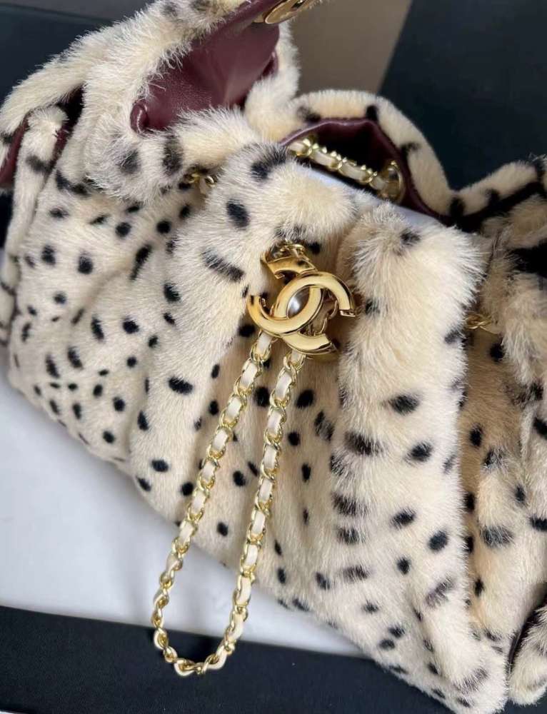 Chanel 25 mini