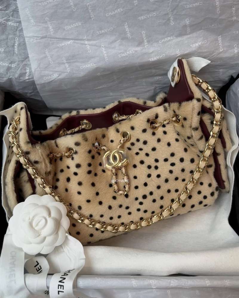 Chanel 25 mini