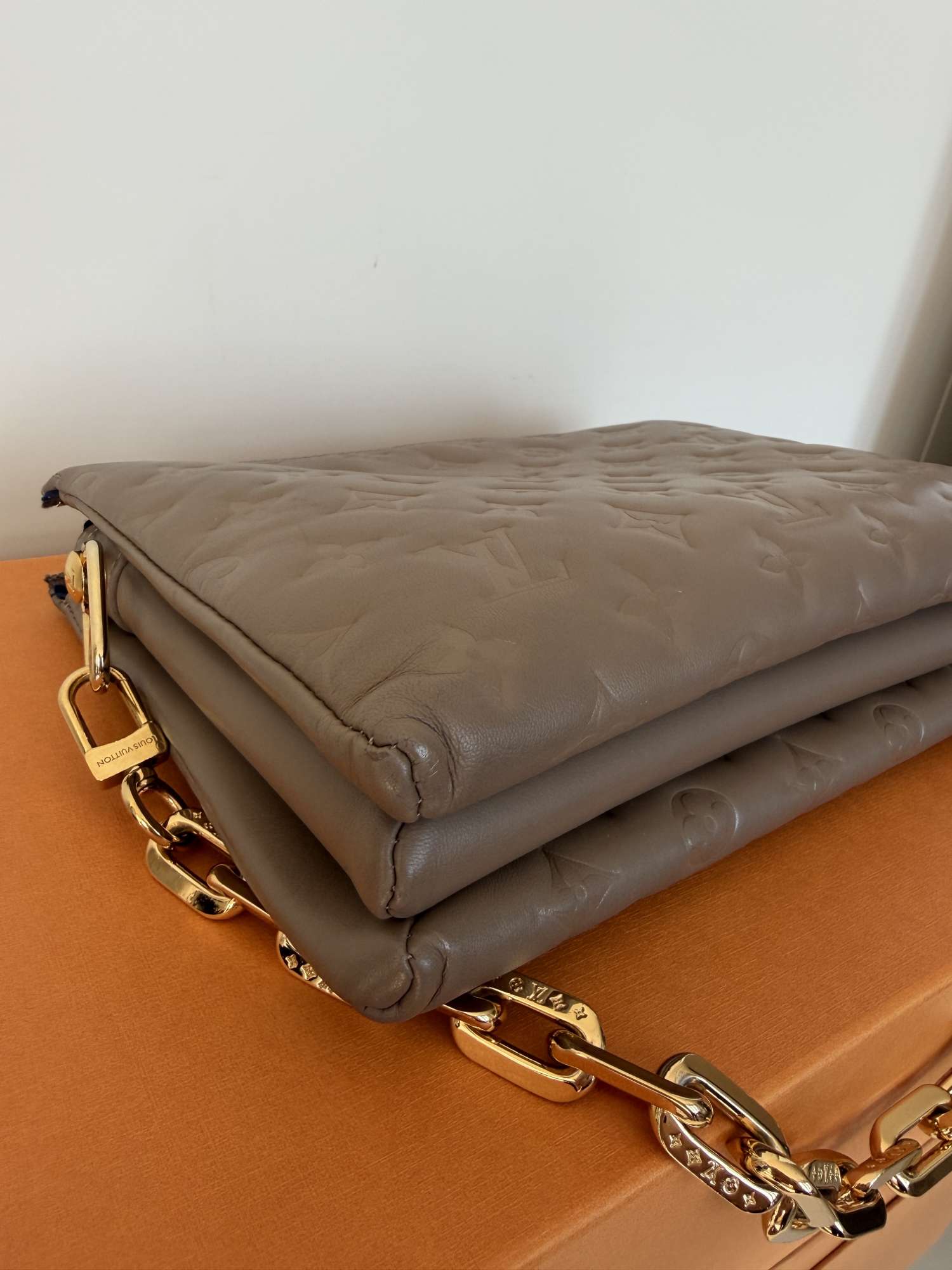 Louis Vuitton coussin Pm