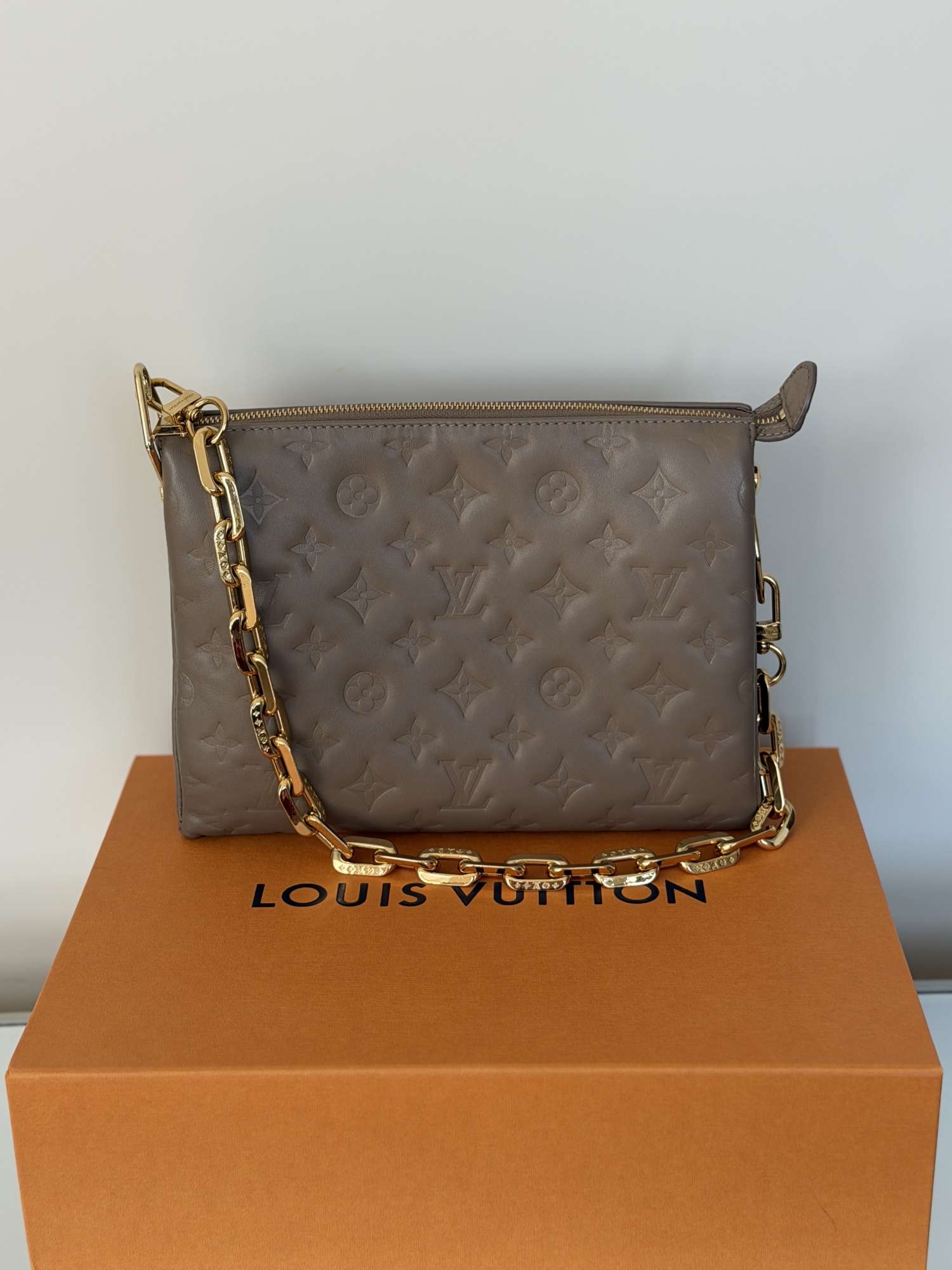 Louis Vuitton coussin Pm