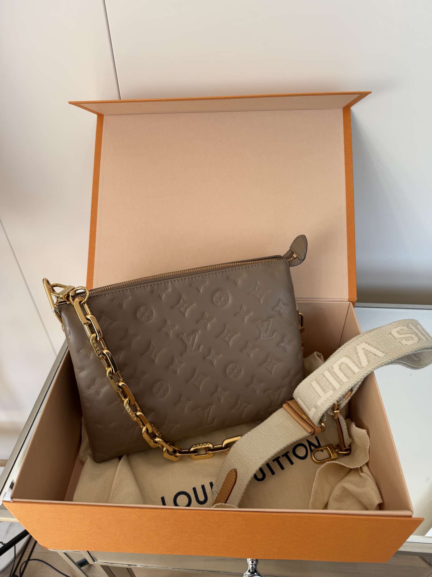 Louis Vuitton coussin Pm