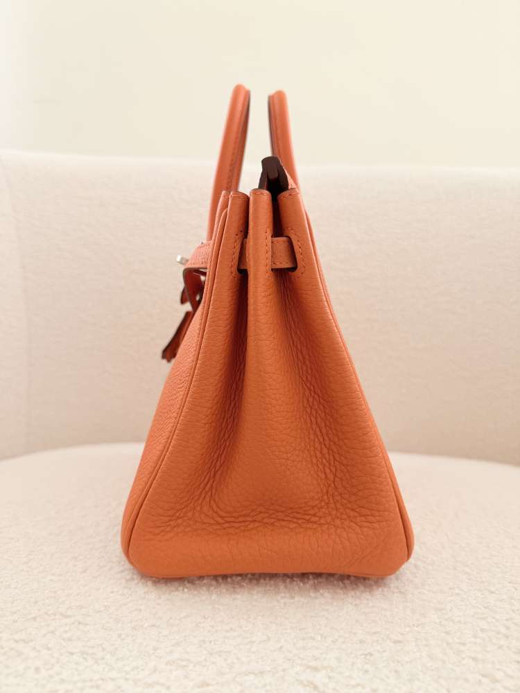 HERMÈS BIRKIN 25