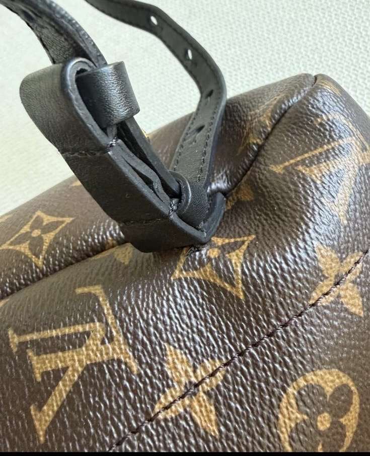 Louis Vuitton palmspring Mm