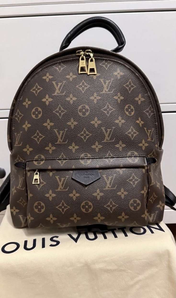 Louis Vuitton palmspring Mm