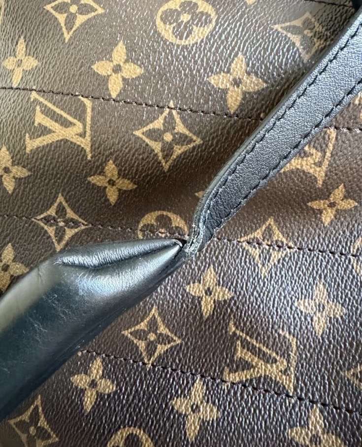 Louis Vuitton palmspring Mm