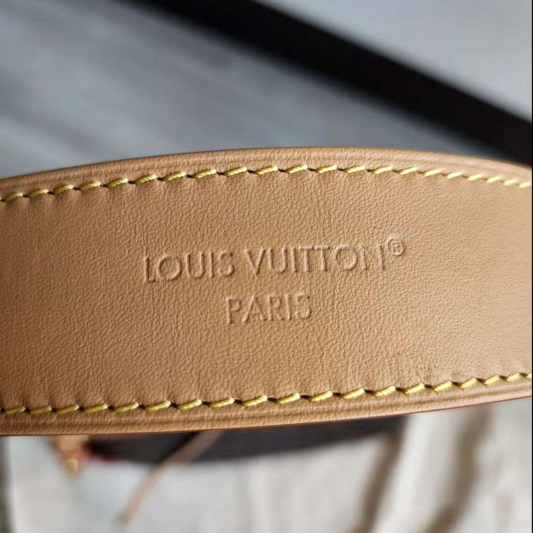 Louis Vuitton CarryAll PM