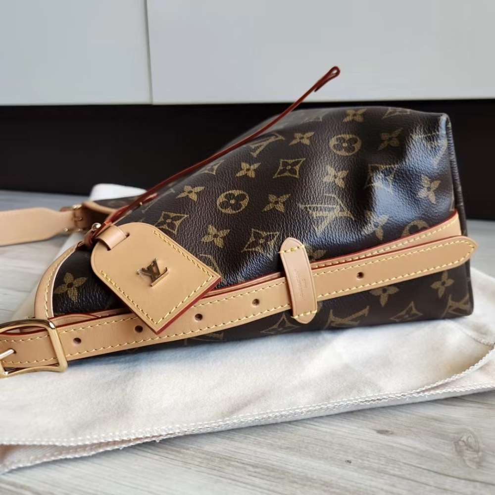 Louis Vuitton CarryAll PM